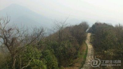 IMG20130316132348.jpg