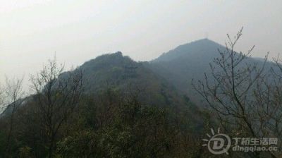IMG20130316132418.jpg