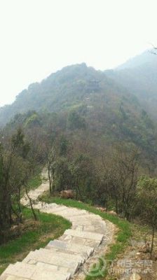 IMG20130316132405.jpg
