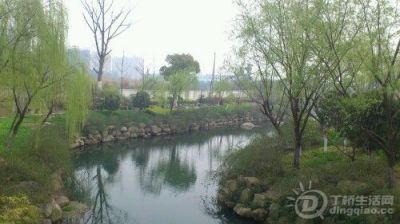 IMG20130316132425.jpg