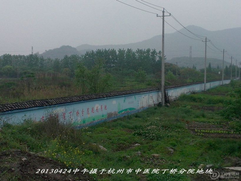 IMG20130424008_.jpg