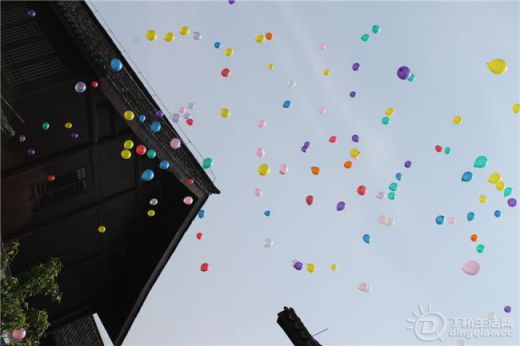 IMG_9036.jpg