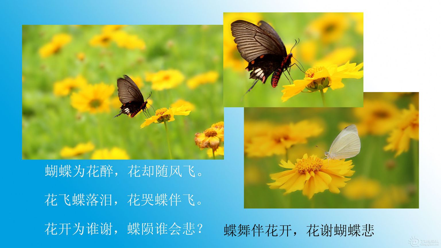 20130516.jpg