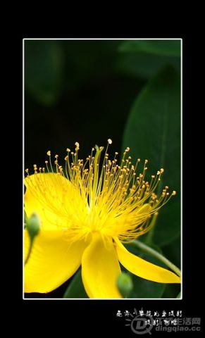 IMG_6799.jpg