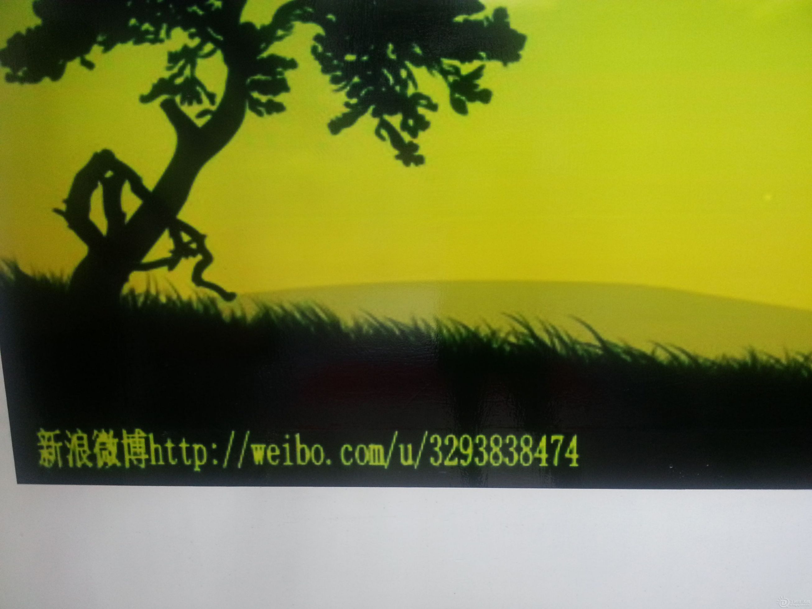 20130528_183109.jpg