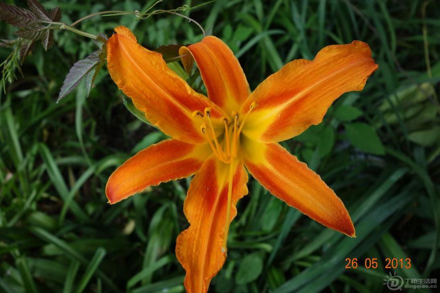 DSC00169.JPG