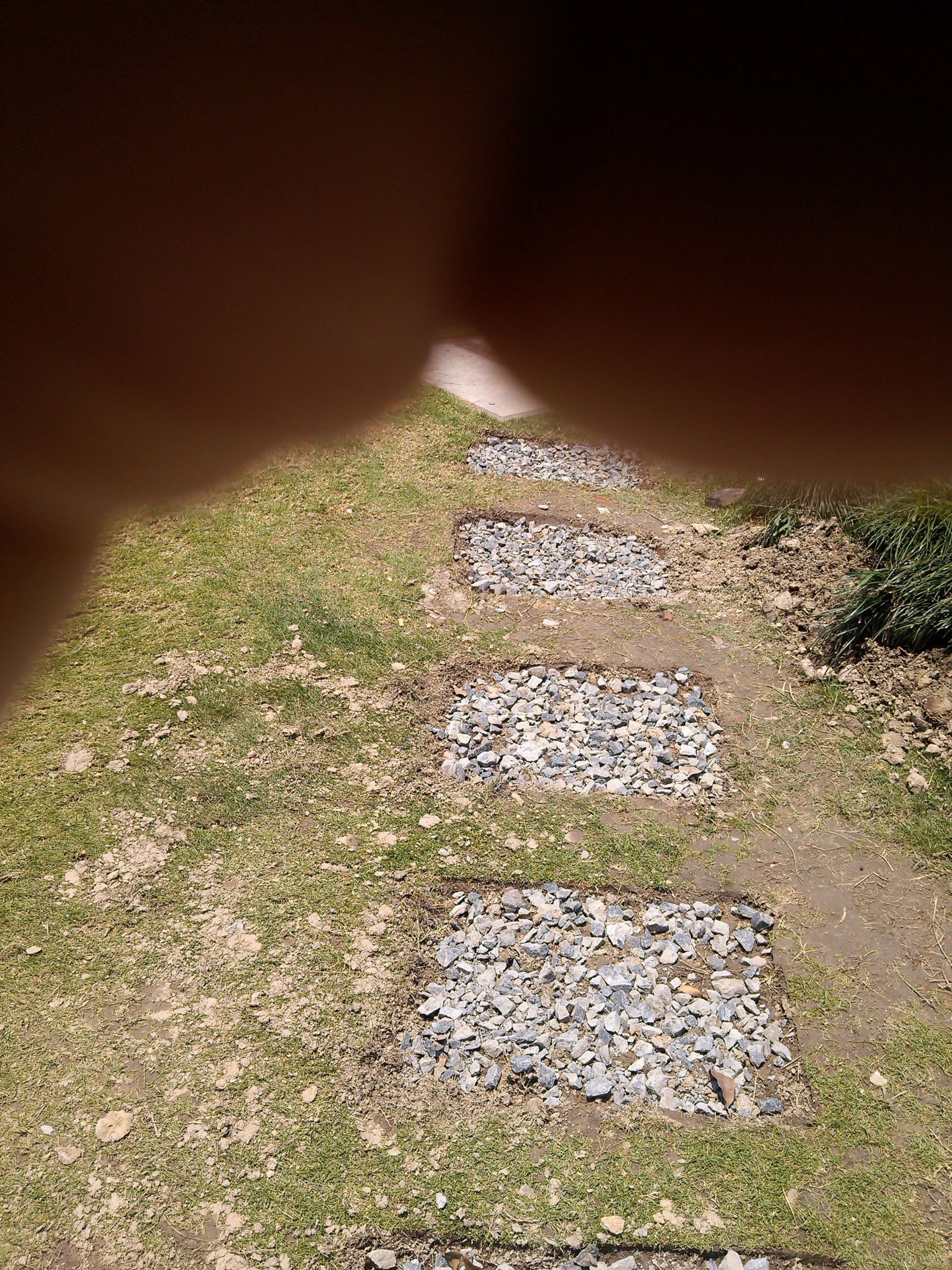 IMG_20130603_122647.jpg