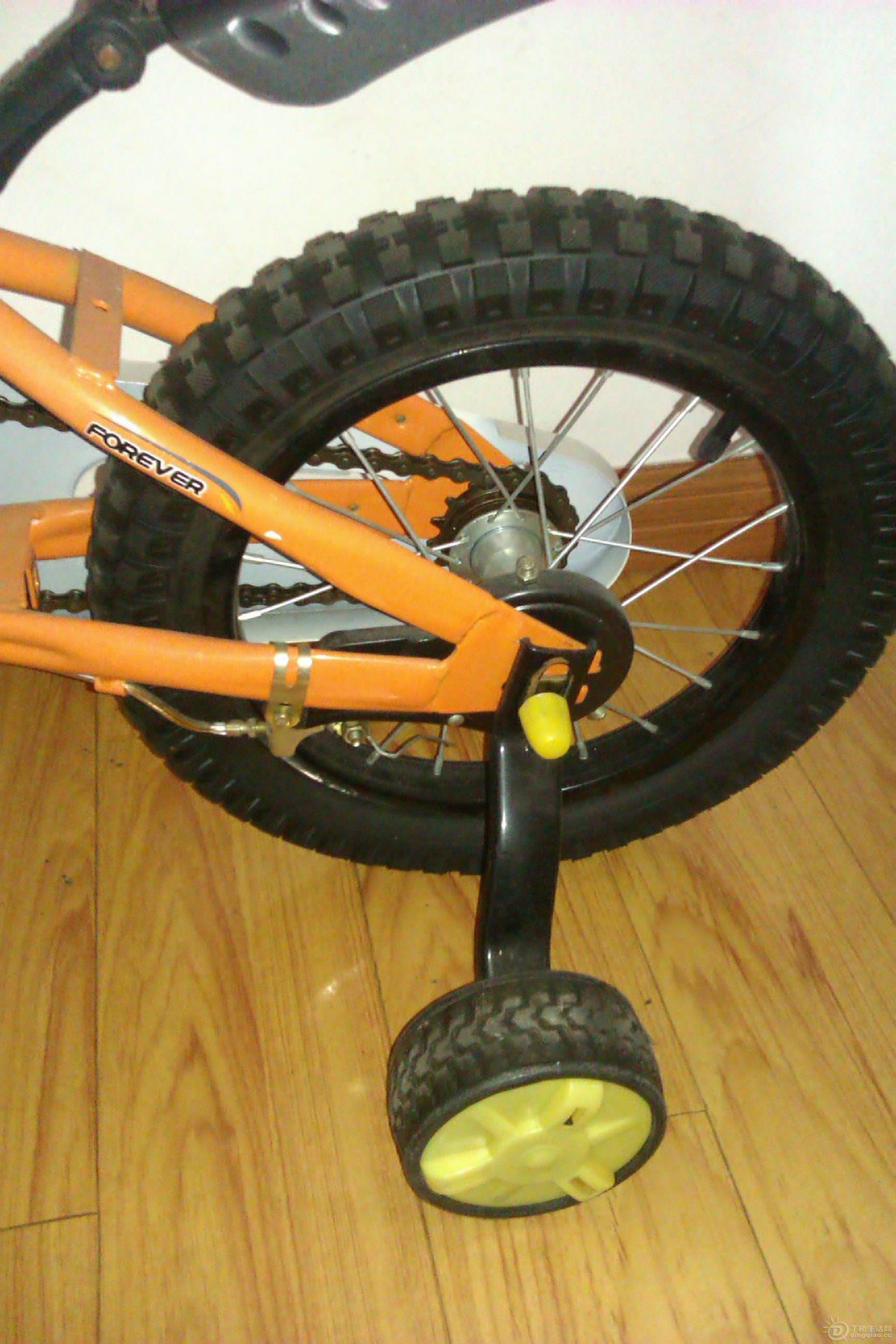 IMAG0619.jpg