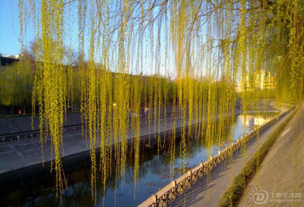 middle_853x640-153958_12181394782798513_08419d50203d5ad37af2a312cbd080a0.jpg