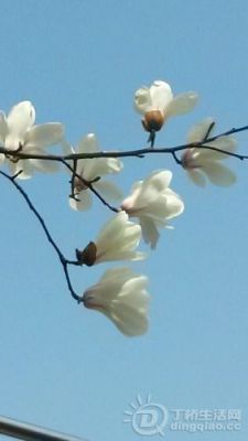 20140314_124744.jpg