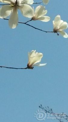 20140314_124740.jpg