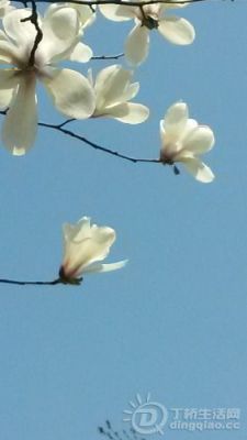 20140314_124733.jpg