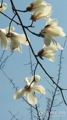 20140314_124717.jpg