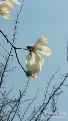 20140314_124711.jpg