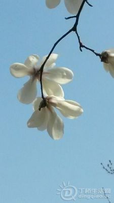 20140314_124648.jpg