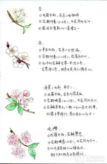 105615ckmu5uc99gfd36o1.jpg