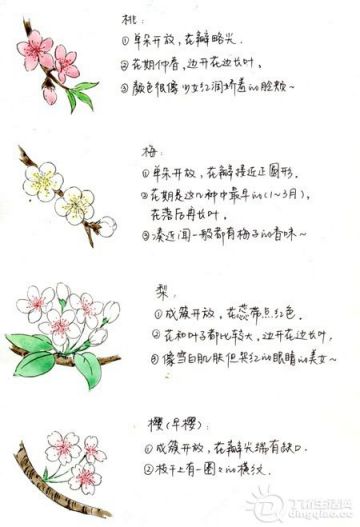 1056142z3q205vz3f1twit.jpg