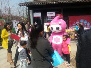 20140323_135833.jpg