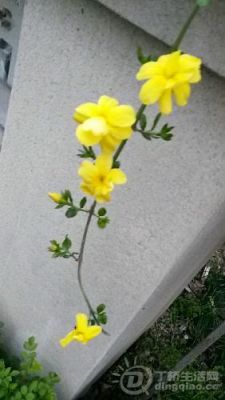 20140325_062844.jpg