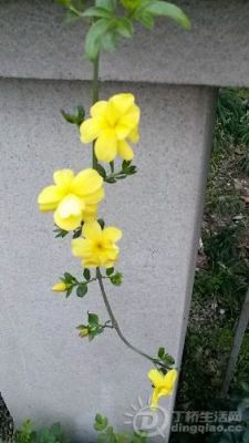 20140325_062812.jpg