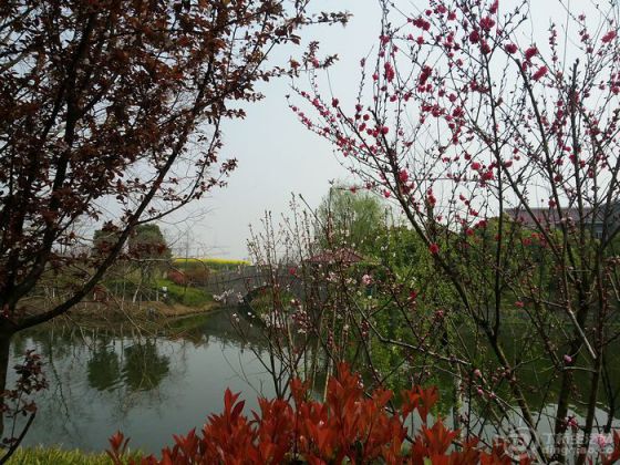 20140327_132831.jpg