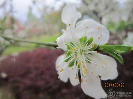 QQͼƬ20140329183159.jpg