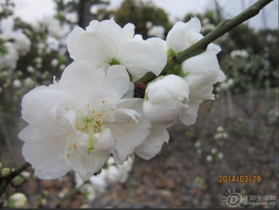 QQͼƬ20140329183250.jpg