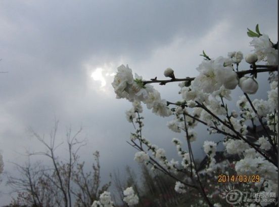 QQͼƬ20140329183309.jpg