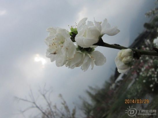 QQͼƬ20140329183328.jpg