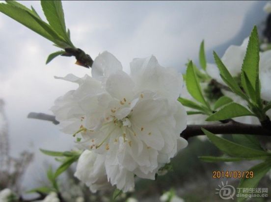 QQͼƬ20140329183349.jpg