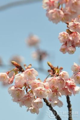 20140312172326_64271.jpg
