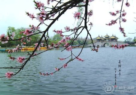 20140312174242_29224.jpg