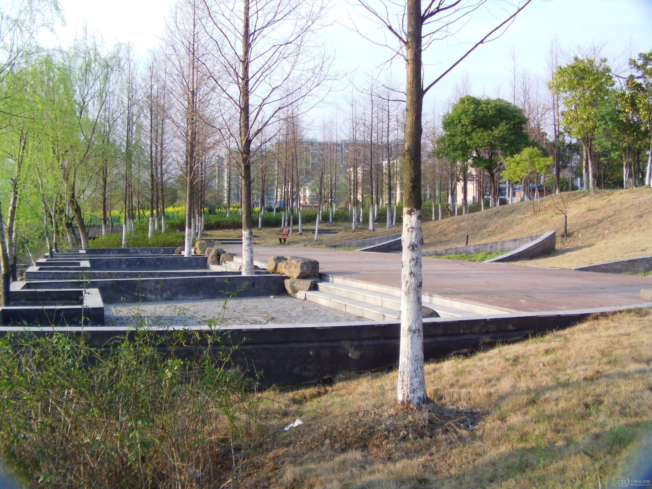 IMAG0094.JPG