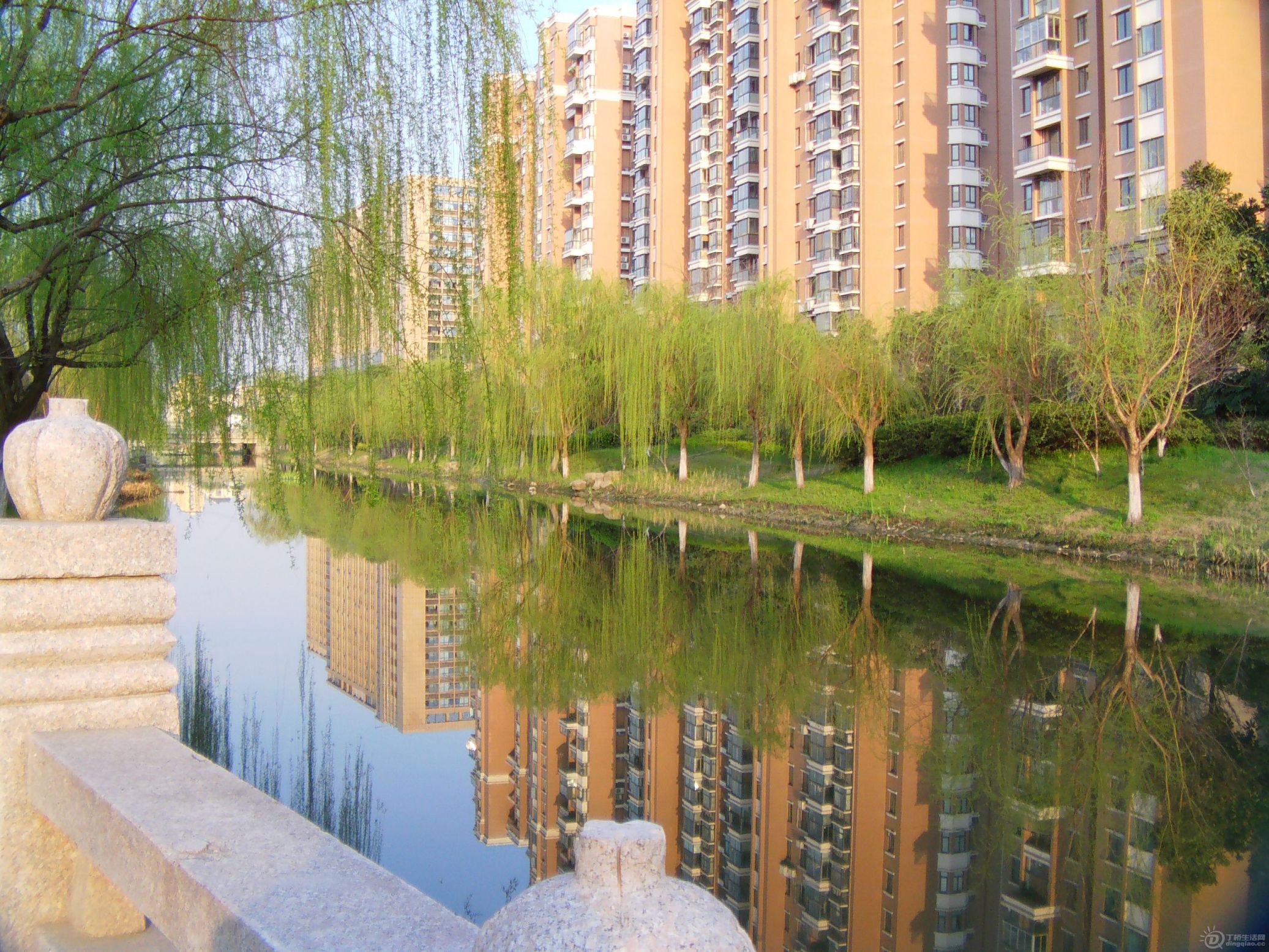 IMAG0104.JPG