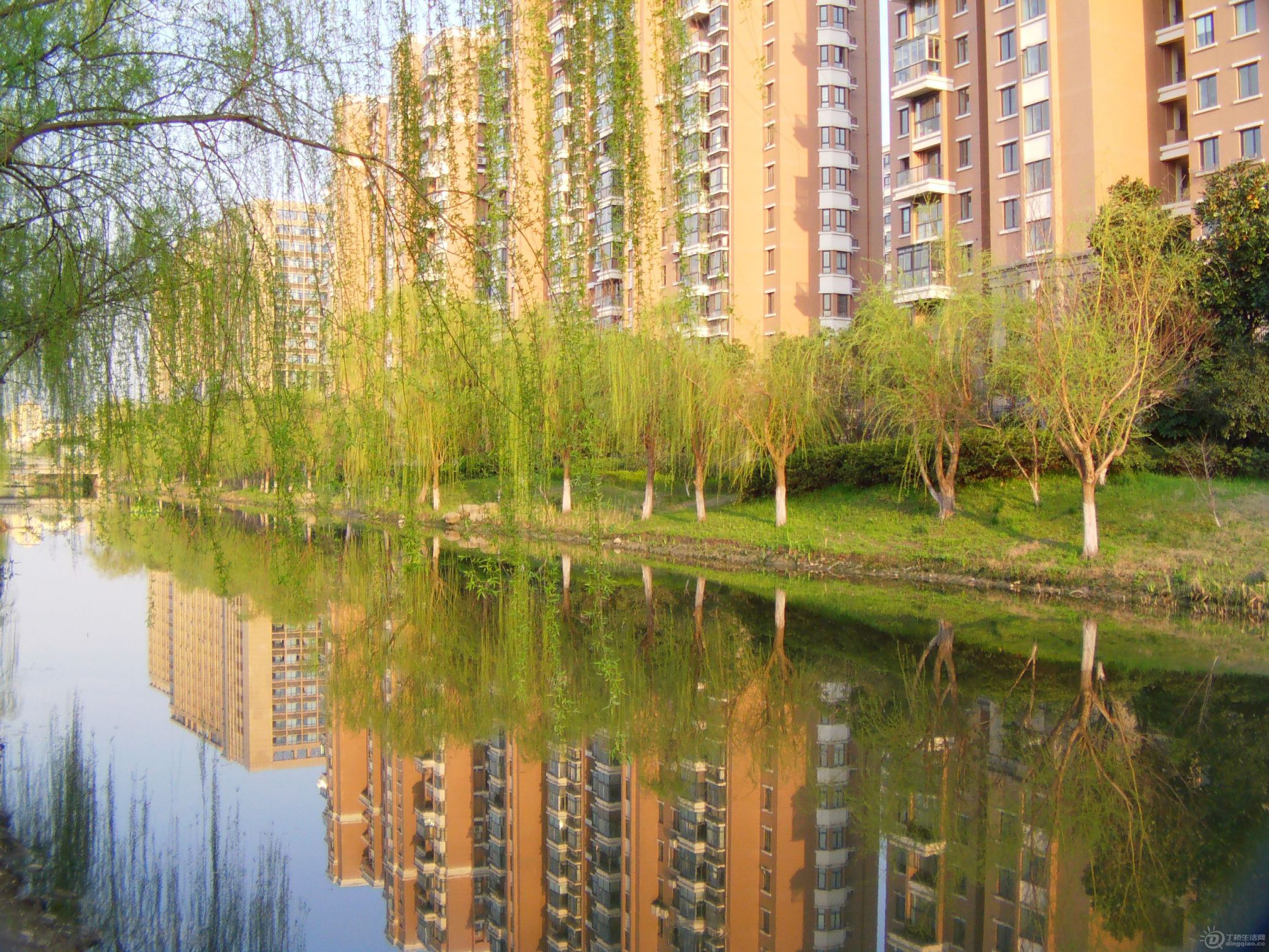 IMAG0105.JPG