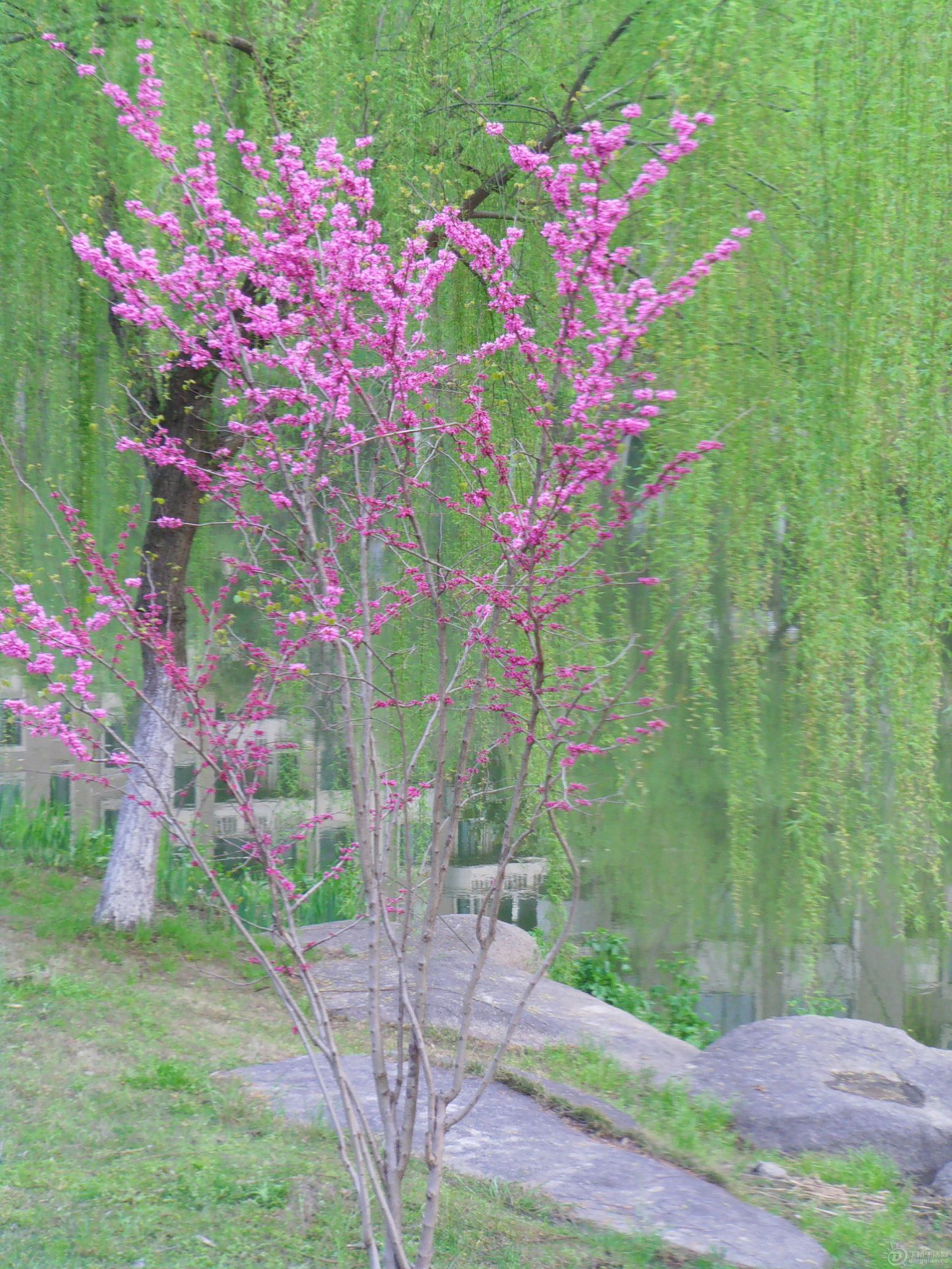 IMAG0037.JPG