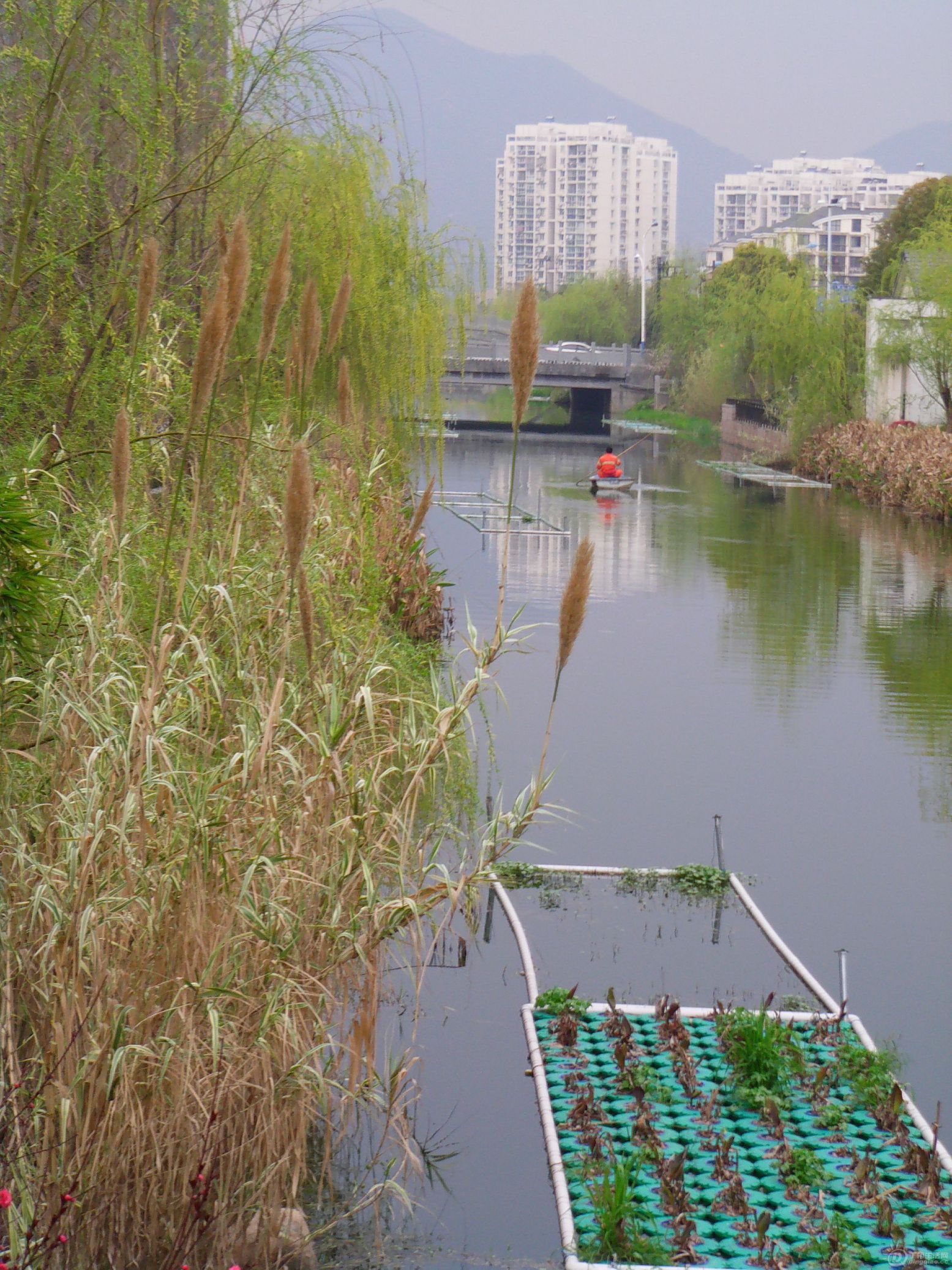 IMAG0059.JPG
