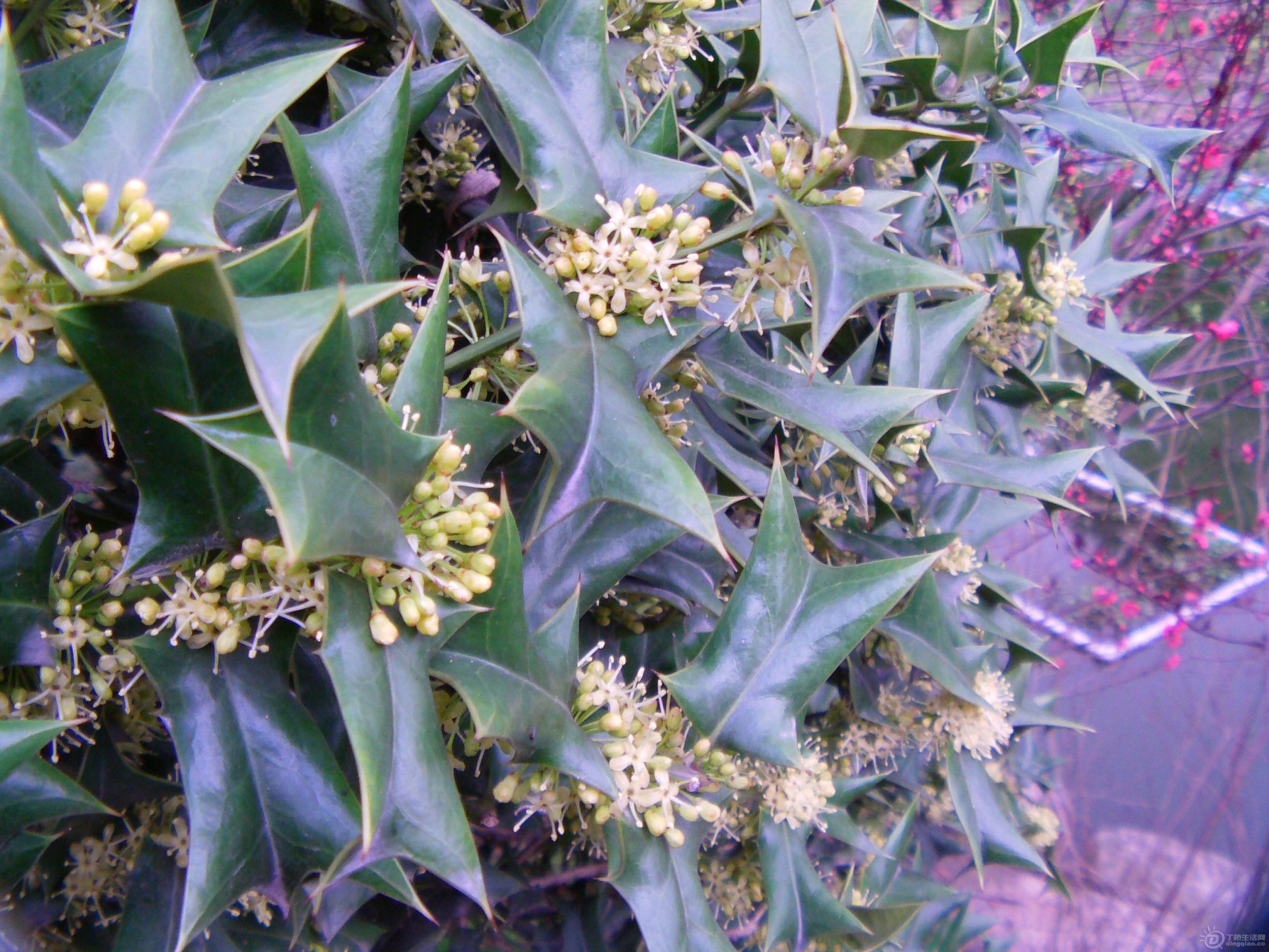 IMAG0075.JPG