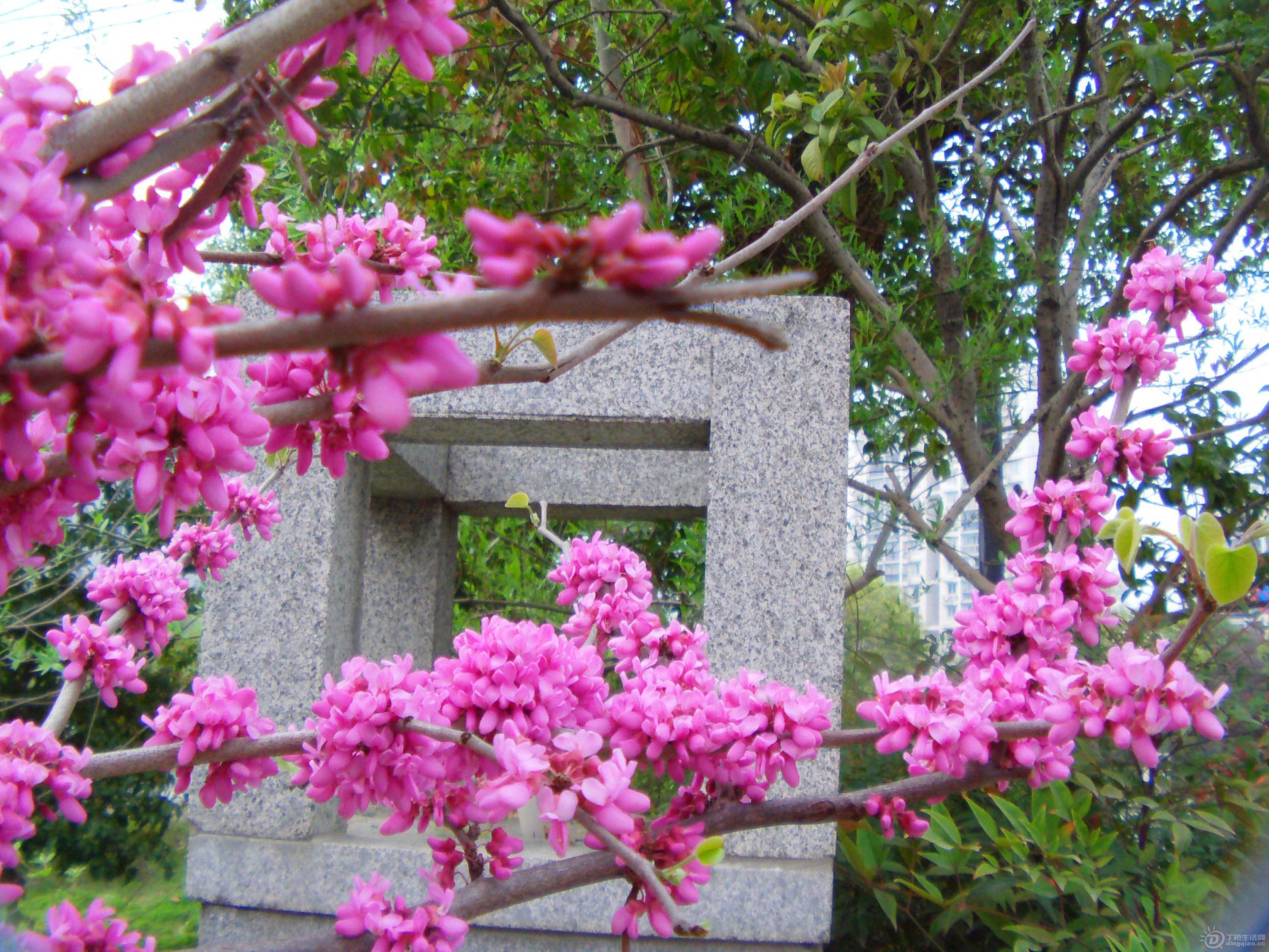 IMAG0095.JPG