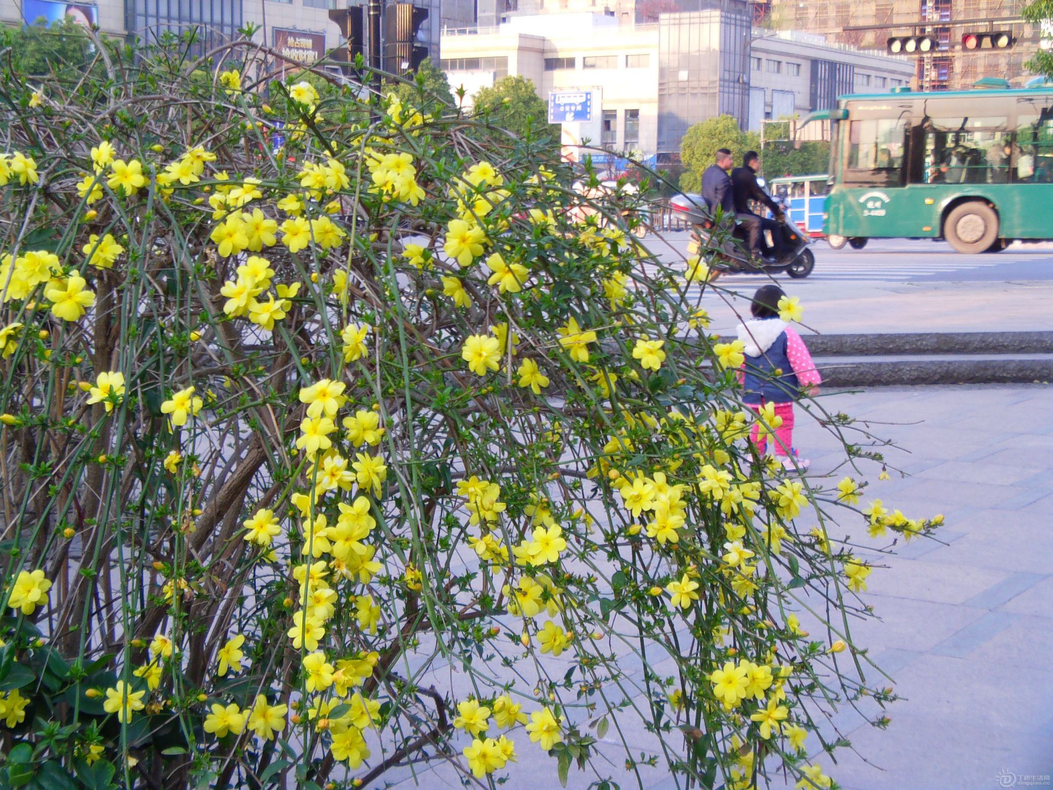IMAG0111.JPG