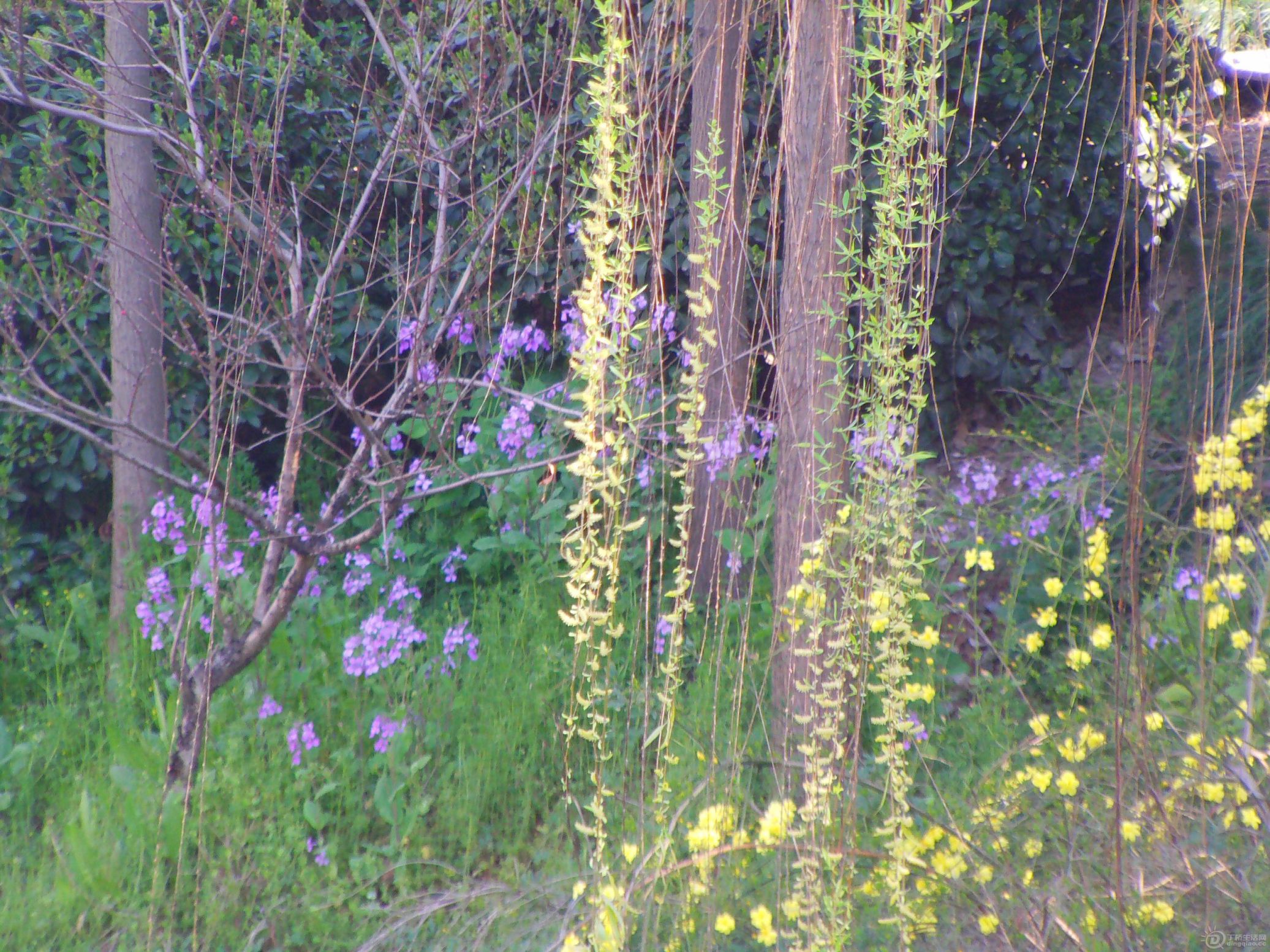 IMAG0210.JPG
