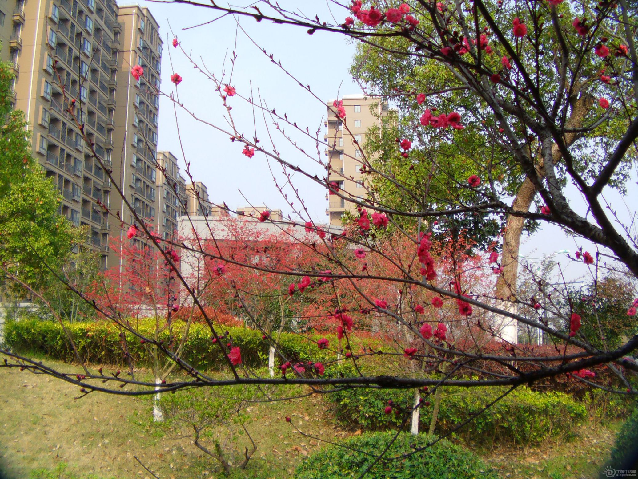 IMAG0008.JPG