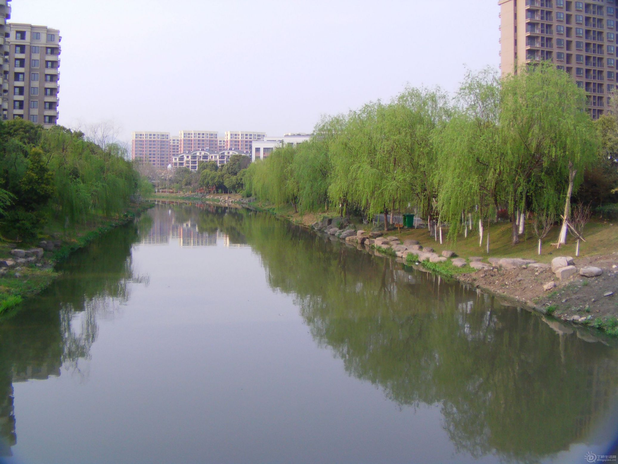IMAG0002.JPG