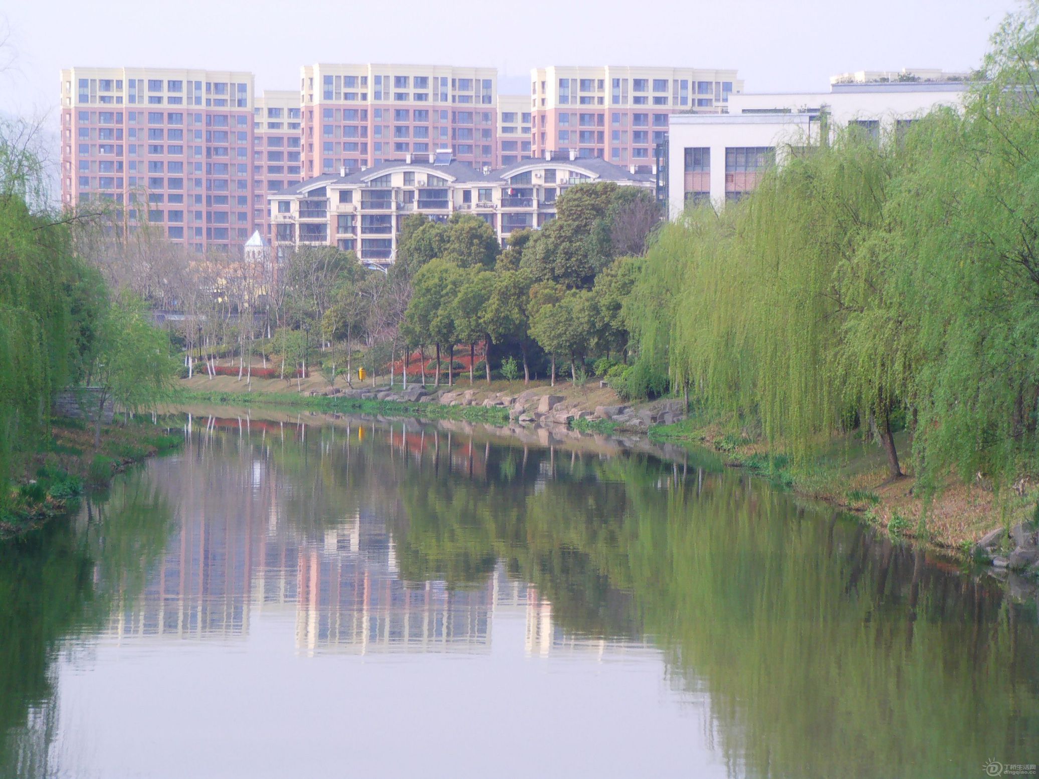 IMAG0003.JPG