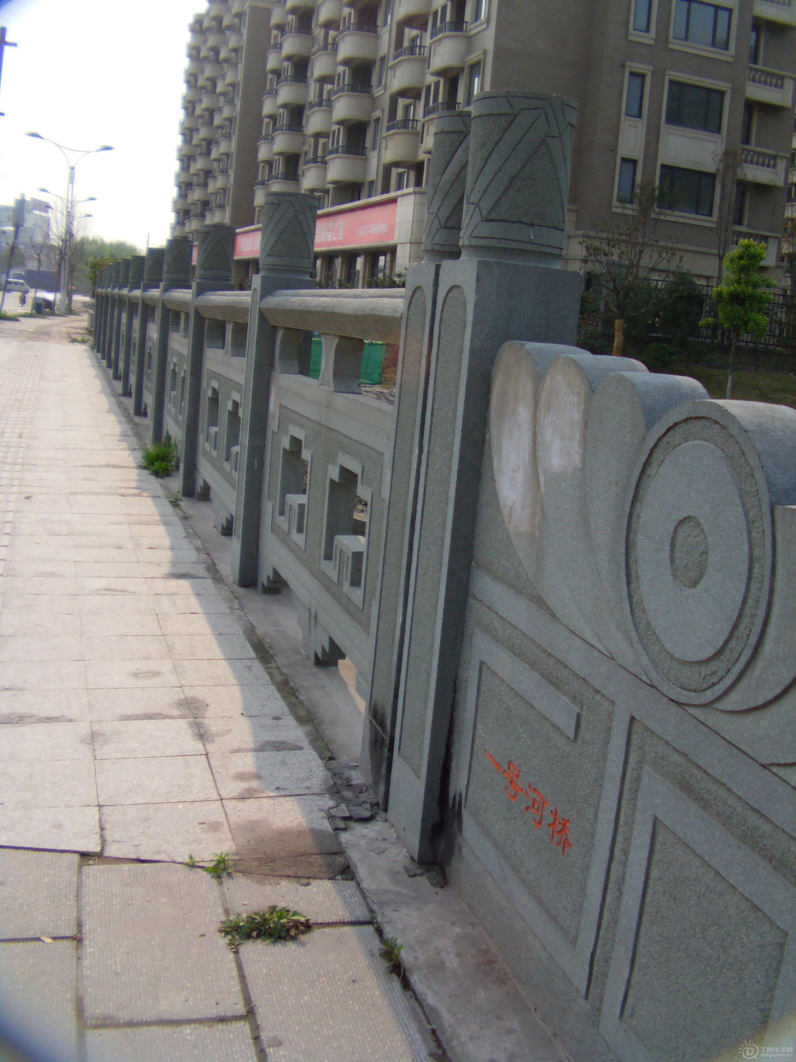 IMAG0005.JPG