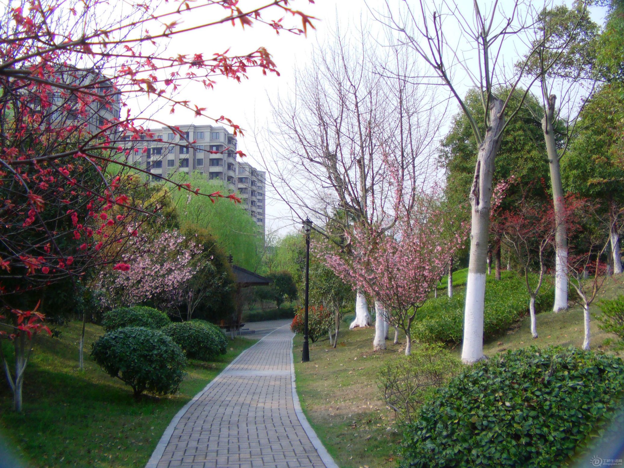IMAG0007.JPG