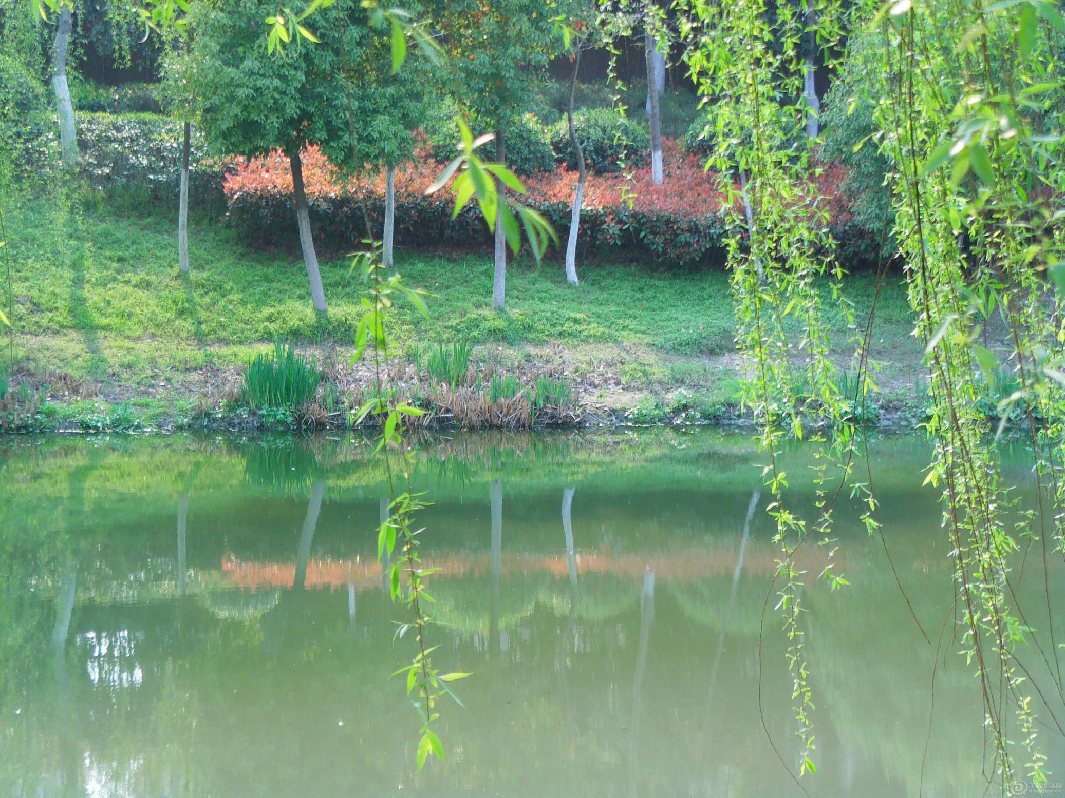IMAG0015.JPG