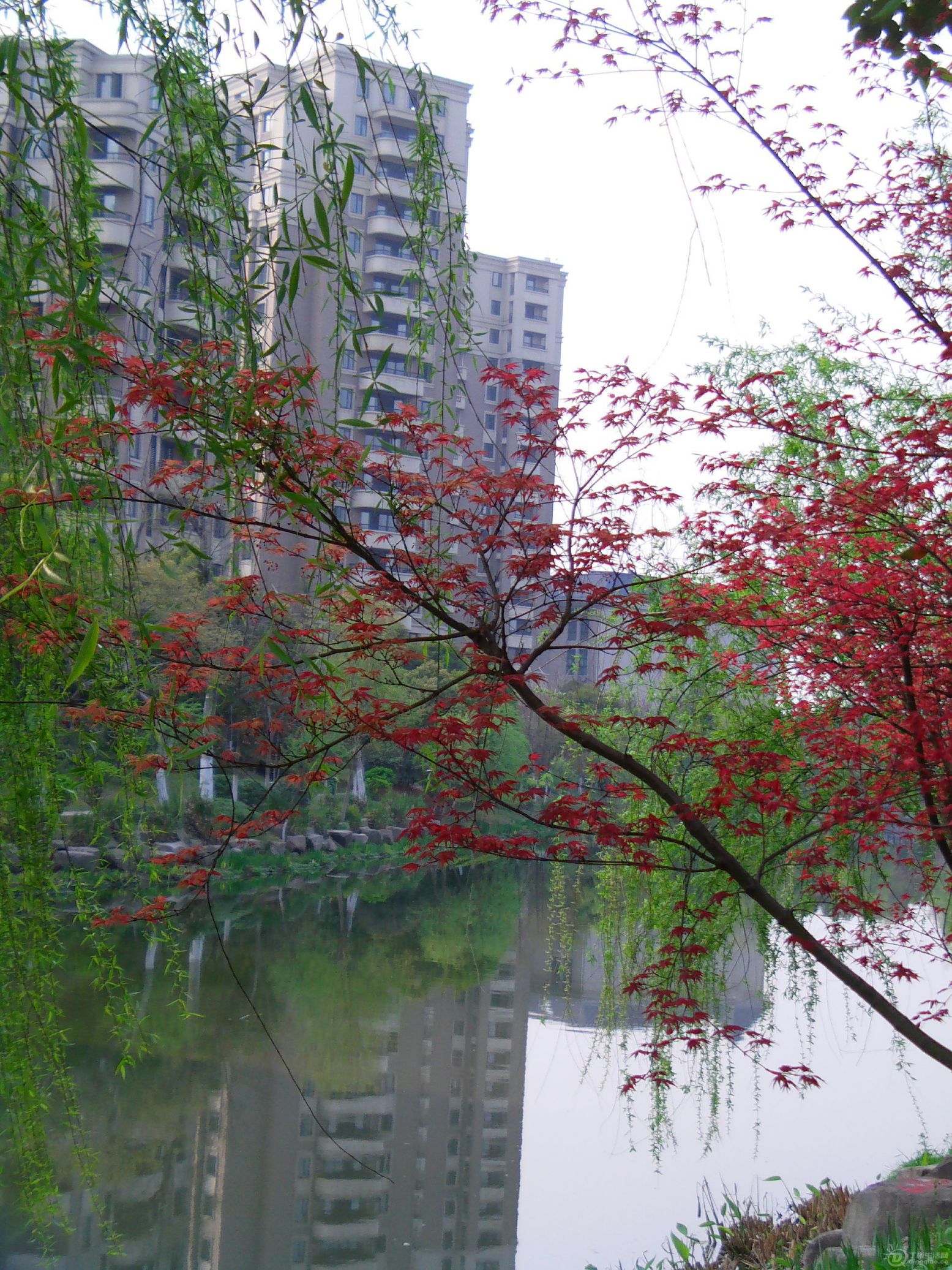 IMAG0020.JPG