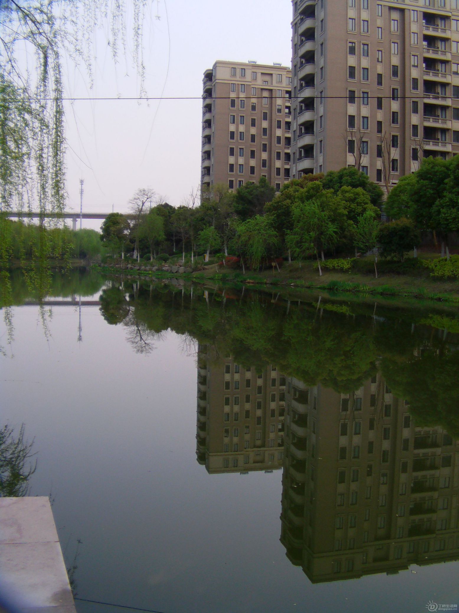 IMAG0029.JPG