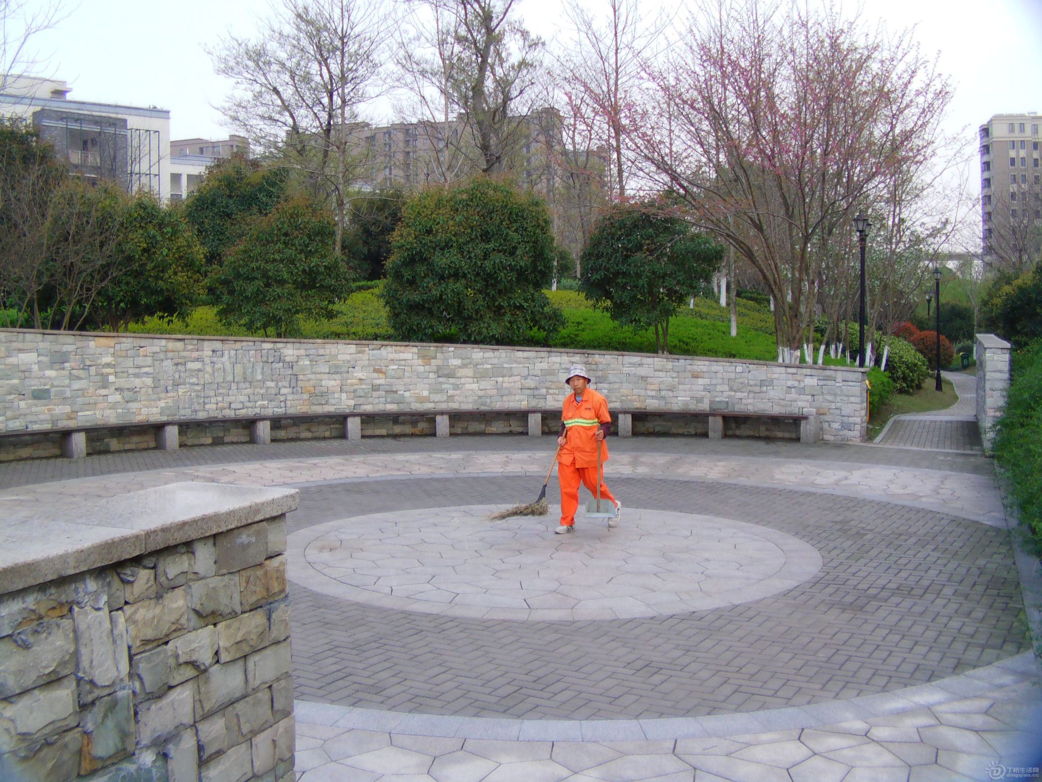 IMAG0034.JPG